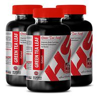 Green Tea Fat Burner Supplements - 300 MG Green Tea Leaf Extract - Energy Increase (3 Bottles)