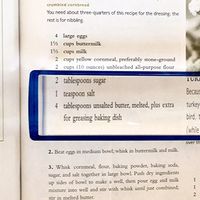 10 Inch 2.5X Extra Long Bar Magnifier by Electro-Optix