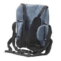 Wenzelite Back Support