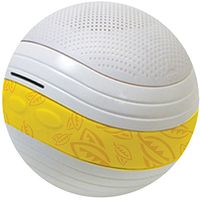 Banana Boat Pool Sound System