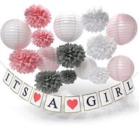 Baby Girl Decorations Baby Shower Decorations Pink   