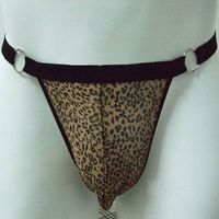 Men's Sexy See Through Mesh Bikinis T-Back Underwear G-String MT001 (Leopard Purple)