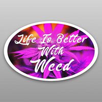 Life is Better with Weed Vinyl Decal Sticker | Cars Trucks Vans Windows Walls Cups Laptops | Full Color Printed | 5.5 X 3 | KCD2064