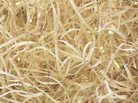 Vanilla Cream Iridescent Cello VERYFINE Fine Cut Gift Basket Shred Paper Filler (6 Oz Bag)