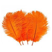 10 PCS Quality Natural Ostrich Feathers 30-35 cm/12-14 Inch Purple Color Good Crafted DIY Ideas