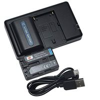 DSTE Replacement for 2X NP-FM50 Battery + Rapid Dual Battery Charger with Micro USB Cable Compatible Sony CCD-FRV DCR-PC DCR-TRV DCR-DVD DSR-PDX GV HVL Series Camera as NP-FM30 NP-FM51 QM50 QM51 FM55H