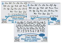 School Smart 85342 Spiral Bound Ruled and Unruled Chart Tablet Assortment - 24 in x 16 in - Pack of 12