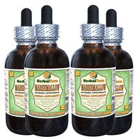 Marshmallow (Althaea Officinalis) Glycerite, Organic Dried Root Alcohol-Free Liquid Extract (Brand Name: HerbalTerra, Proudly Made in USA) 4x4 fl.oz (4x120 ml)