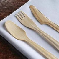 Rantepao 300 Pcs Disposable Natural Birchwood Long Handle Knives Party Wedding Silverware