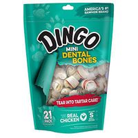 Dingo Dg Mini 2. 5I Dent Bon 21Pk No Chin