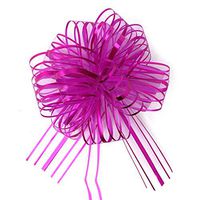 Allgala 12-pc 6" Large Everyday Pull Bows-Fuchsia-GP92011
