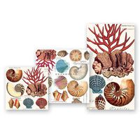 Michel Design Works Shells Luncheon Napkins, 20-Pack, 3-Ply