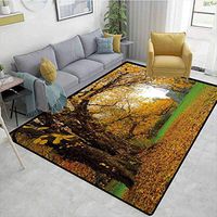 Fall Plaid Area Rug, Autumnal Park with Big Ancient Oak Tree and Deciduous Leaves Greenery, Durable Carpet Area Rug - Living Dinning Room Bedroom Rugs and Carpets(8'x 10')