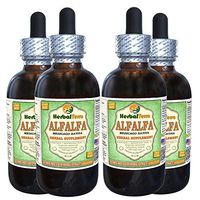 Alfalfa (Medicago Sativa) Glycerite, Organic Dried Leaf Alcohol-Free Liquid Extract (Brand Name: HerbalTerra, Proudly Made in USA) 4x4 fl.oz (4x120 ml)