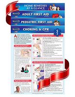 First Aid Charts - 4 Laminated Medical First Aid Guides for The Home or Workplace - Quick Reference by Permacharts