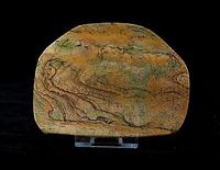 Picture Jasper - Large Polished Slice with Stand - SLICE003