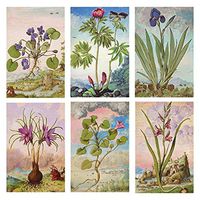 Decorative Mini Bontanical Floral Matchbox Set of 6 Matches for Candle and Fireplace Wood Matches