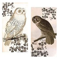 Decorative Matches, (Set of 3 Match Boxes) Long Wooden Matches,Strike Strip on Side of Box- Colored Match Tips- Candle and Fireplace Wooden Matches 4.375" x 2.35" x .75" (Vintage Owl)