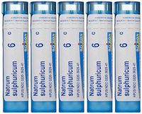Boiron Natrum Sulphuricum 6C (Pack of 5), Homeopathic Medicine for Bronchial Irritation