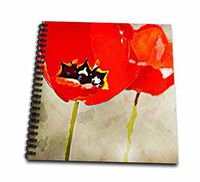 3dRose db_56283_1 Painted Red Poppies-Flowers-Floral Print-Drawing Book, 8 by 8-Inch