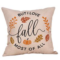 Indexshop Fall Quotes Saying Throw Pillow Cover, Thanksgiving Holiday Greetings Pillows Cotton Linen Cushion Case for Sofa Couch 18x18 Inches (A)