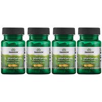 Swanson L. Plantarum Probiotics Bowel Regularity Gas Bloating Immune Support Gastrointestinal Balance 10 Billion CFU Supplement 30 Veggie Capsules (4 Pack)