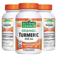 Botanic Choice Organic Turmeric - Adult Daily Supplement - Promotes Optimal Joint Function and Comfort Supports Vascular and Circulatory Health and Overall Wellness 90 Capsules