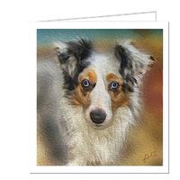 Miniature American Shepherd - Zack - Blank Note Cards - Set of 6 with Envelopes By DoggyLips.Com