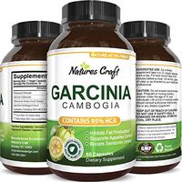 Pure Garcinia Cambogia Extract 95% HCA Weight Loss Pill Natural Fat Burner Supplement Carb Blocker Appetite Suppressant for Men and Women USA Made GMO Free 60 Capsules by Natures Craft