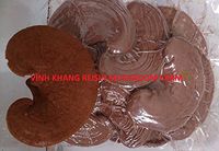 500 Gram (17.6 OZ) Mushroom LingZhi - Nấm Linh Chi Vinh Khang