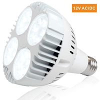 12V 35W LED Pool Light Bulb, 3600LM 6000K Daylight White LED Swimming Pool Light Bulb, Replaces up to 200-600W Traditionnal Bulb(AC/DC)