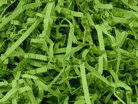 4oz Bag Heavy Duty Oasis Green Gift Basket Shred Crinkle Paper Grass Filler Bedding nfLG -1738