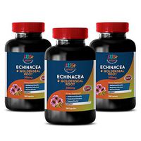 antioxidant Supplement - Echinacea Extract & Goldenseal Root 300 Mg Complex - goldenseal Pills - 3 Bottles (180 Capsules)