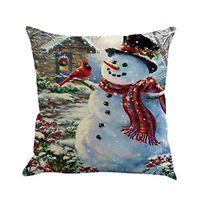 Christmas Snowman Throw Pillow Cover, Christmas Series Cushion Cover Case Pillow Custom Zippered Square Pillowcase, Holiday Season Decorations for Winter Couch Cushions 18 x 18 (D)