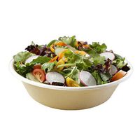 SABERT COPERATION Bowl 32 Oz Pulp Natural Terrapac, 500 CS