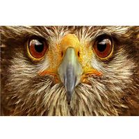 Meidexian888 DIY 5D Diamond Painting,5D Embroidery Paintings Rhinestone Pasted DIY Diamond Painting Cross Stitch