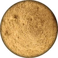 Amla Powder Organic Extract Certified Indian Gooseberry 100% Raw 22Lbs