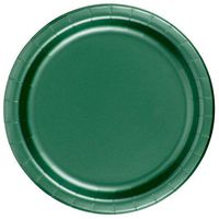 24CT 9"HGRN Paper Plate