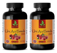 Immune System Booster - URIC Acid Formula - Natural EXTRACTS - Kidney Support Vitamins - 2 Bottles (120 Capsules)