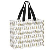 SCOUT Large Package Gift Bag, Large Reusable Gift Bag Measuring 13.5" x 12" x 6" (Multiple Patterns Available)