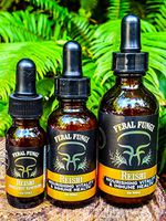 Reishi Spagyric Tincture (2oz)