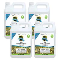 30% Vinegar Pure Natural Industrial Strength Concentrate with Literally Hundreds of Other Uses 4X Stronger Than Regular Vinegar (Case of 4 Gallon Refills)