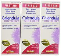 Boiron Calendula Ointment, Homeopathic Medicine for Skin Irritation and Burns, 1 Ounce (Pack of 3)