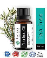 ARAMACS Tea Tree Essential Oil Pure and Natural - Undiluted & Uncut 10 ML - Free Shipping