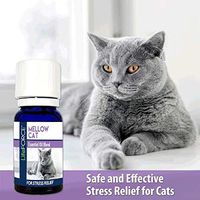 Lifeforce Mellow Cat Essential Blend 10ml