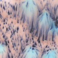 Mayco Crystalites Crystal Glaze - S2702 - Northern Lights - 4 Ounce Jar