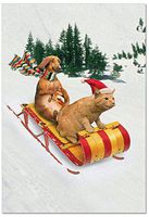 B1731HXSG Box Set of 12 Animal Antics Christmas Greeting Cards with Envelopes