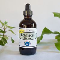 Echinacea Root Tincture ~ Made with Gluten Free Alcohol and Organic Echinacea ~ 2 Ounce Bottle ~ Echinacea angustifolia