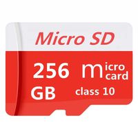 Ganny 256GB Micro SD SDXC Card High Speed Class 10 Memory SD Card with SD Adapter