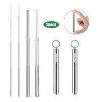 Vantic Reusable Drinking Straws - Telescopic Portable Stainless Steel Straw with Case & Cleaning Brush, 2 Pack, Silver
